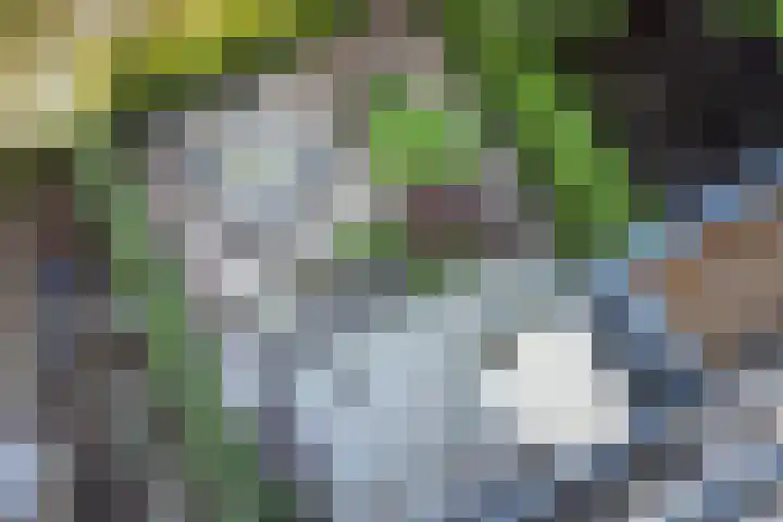 Alexander Numankade 23 A Utrecht thumbnail 47
