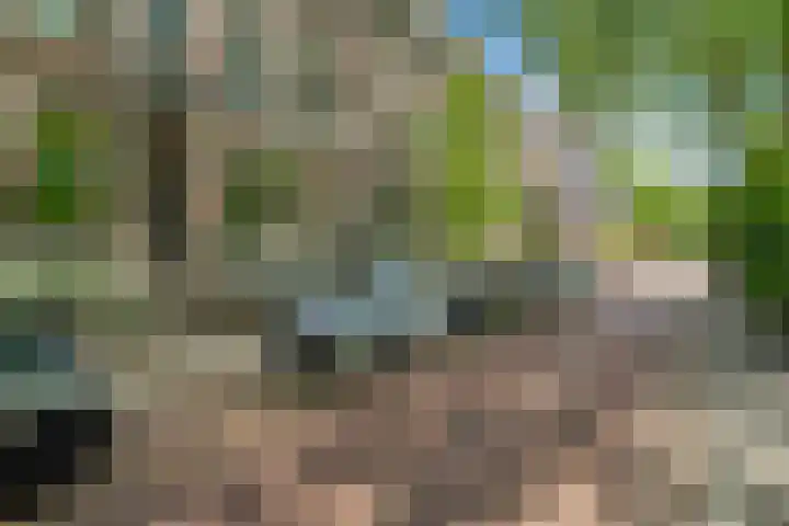 Alexander Numankade 23 A Utrecht thumbnail 49