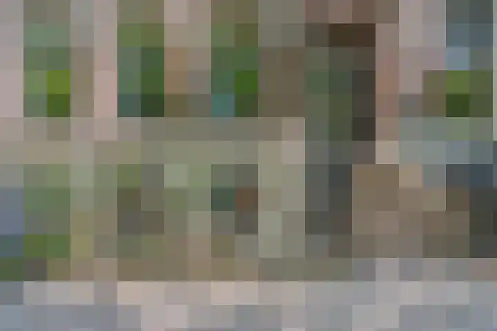 Alexander Numankade 23 A Utrecht thumbnail 5