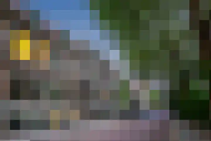 Alexander Numankade 23 A Utrecht thumbnail 51