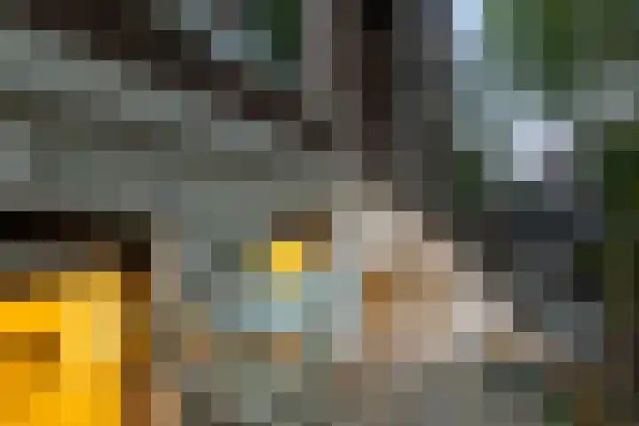 Alexander Numankade 23 A Utrecht thumbnail 52