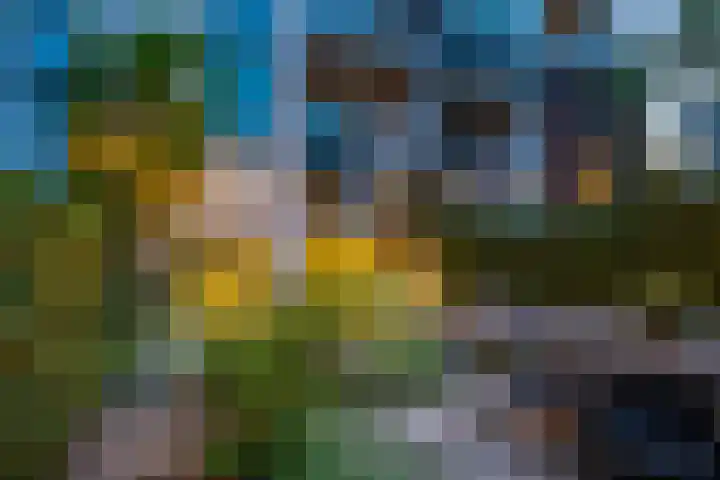 Alexander Numankade 23 A Utrecht thumbnail 56