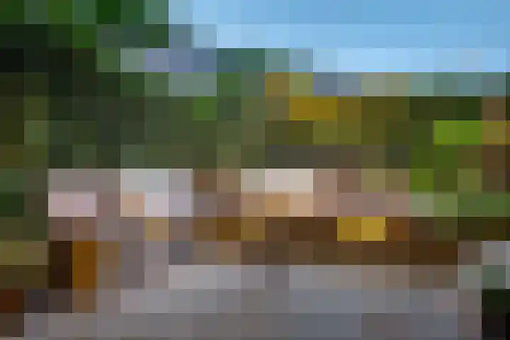 Alexander Numankade 23 A Utrecht thumbnail 58