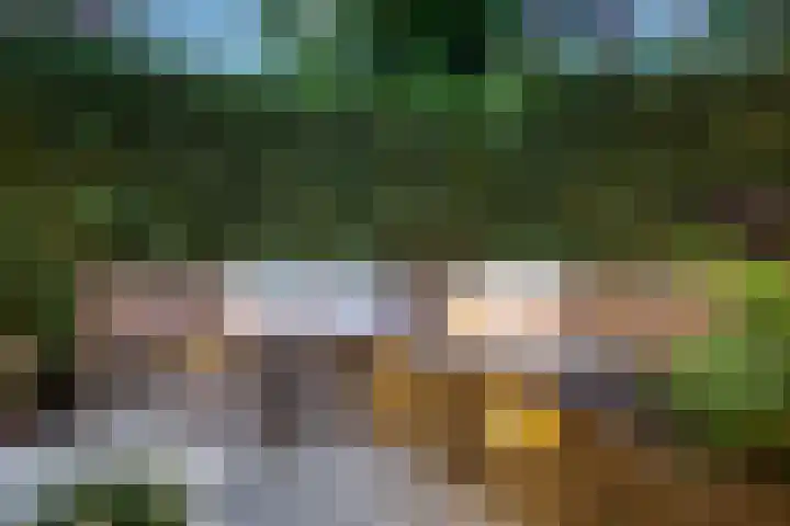 Alexander Numankade 23 A Utrecht thumbnail 59