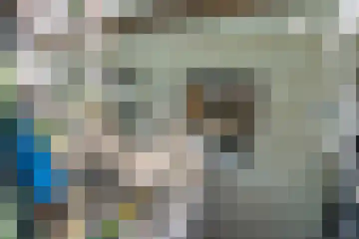 Alexander Numankade 23 A Utrecht thumbnail 6