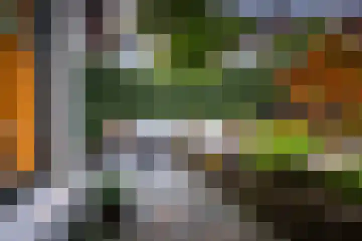 Alexander Numankade 23 A Utrecht thumbnail 61