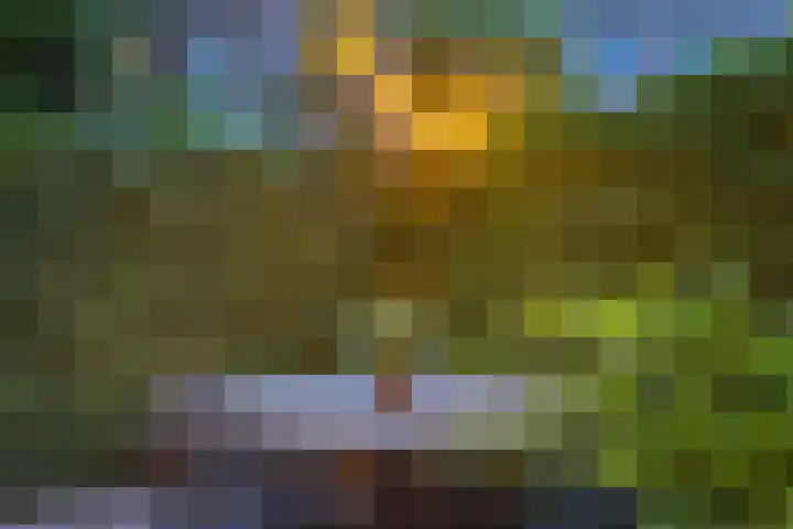 Alexander Numankade 23 A Utrecht thumbnail 62