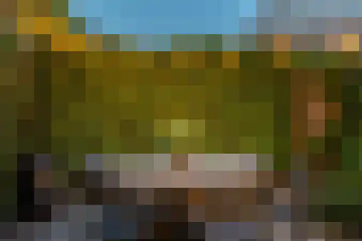 Alexander Numankade 23 A Utrecht thumbnail 63