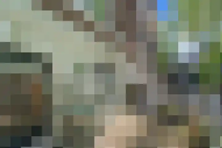 Alexander Numankade 23 A Utrecht thumbnail 7