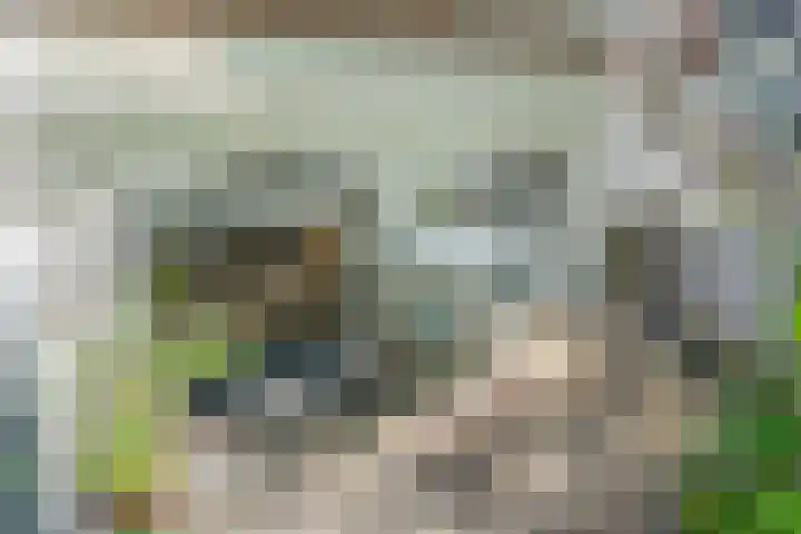 Alexander Numankade 23 A Utrecht thumbnail 8