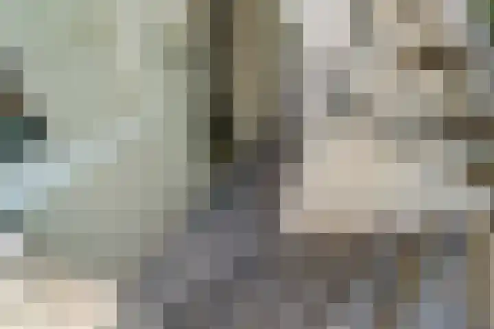 Alexander Numankade 23 A Utrecht thumbnail 9