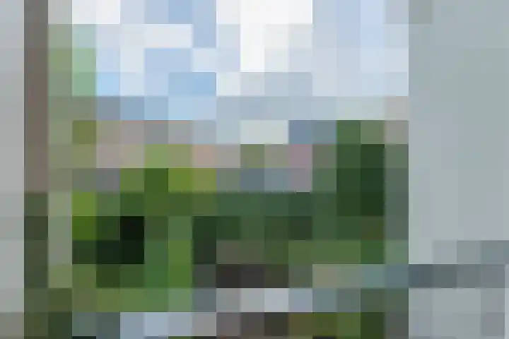 Alexander Numankade 23 Utrecht thumbnail 16