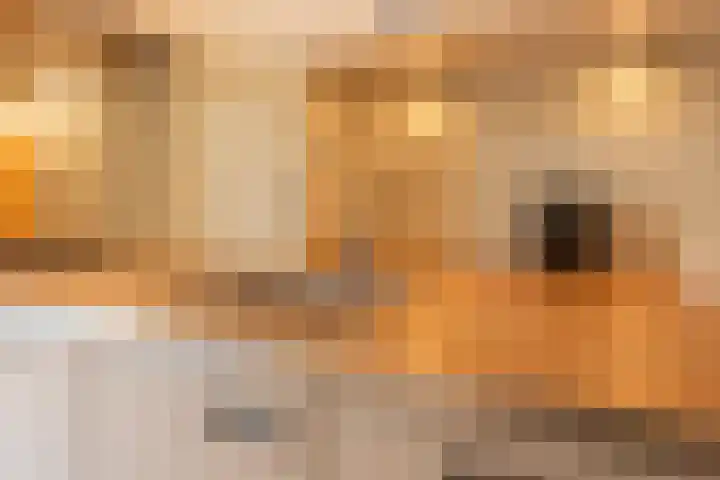 Alexander Numankade 23 Utrecht thumbnail 19