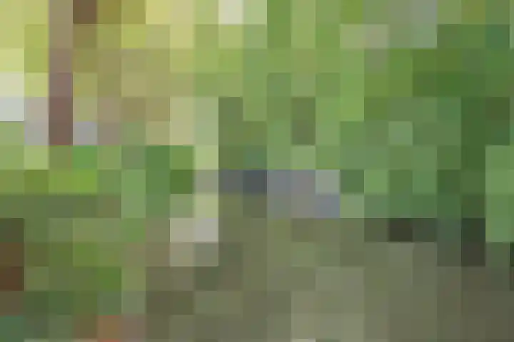 Alexander Numankade 23 Utrecht thumbnail 25
