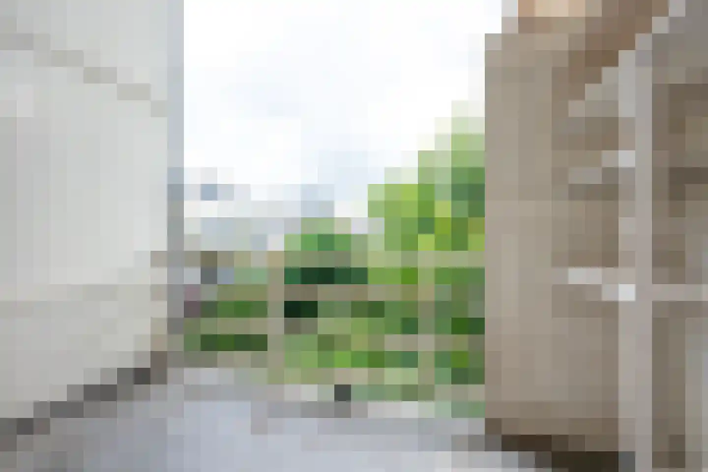Alexander Numankade 63 Utrecht thumbnail 22