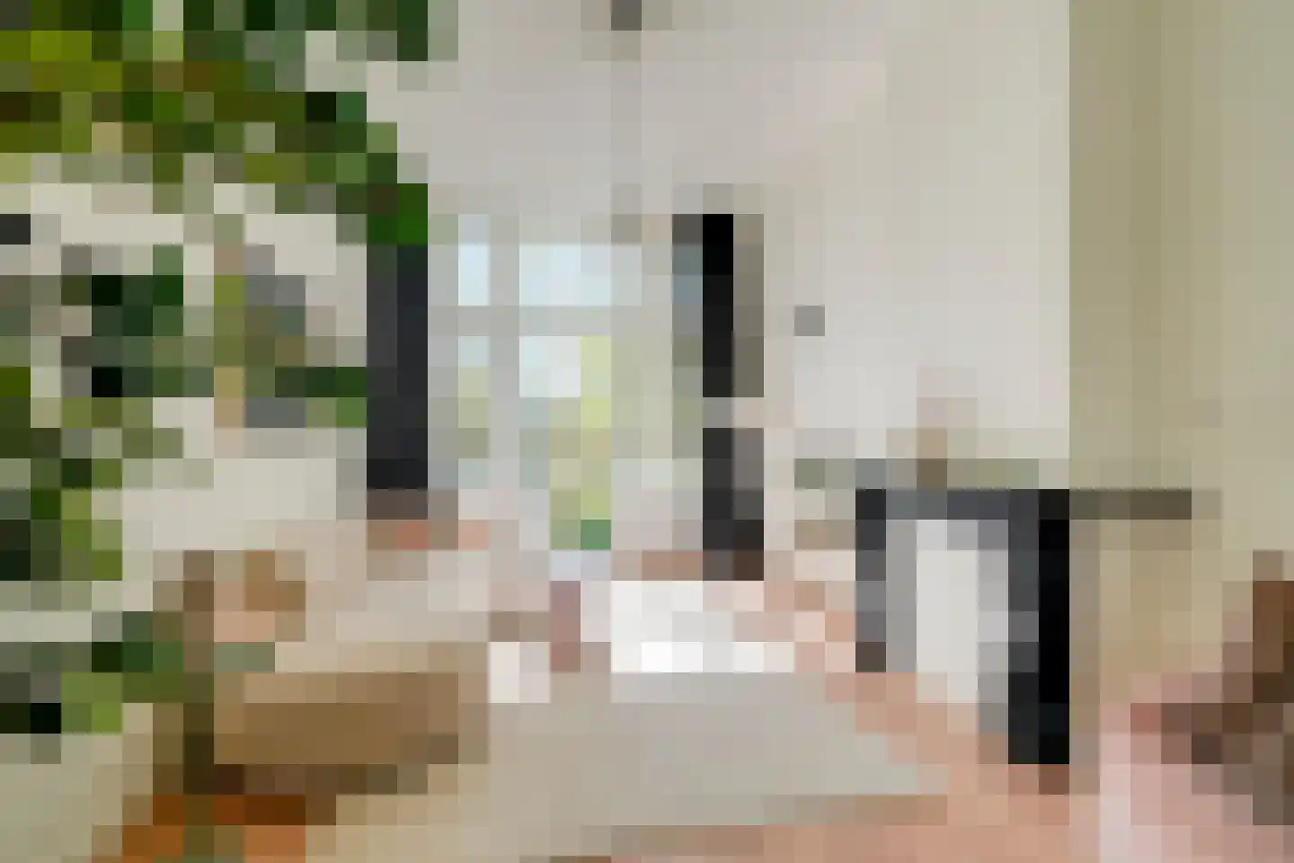 Alexander Numankade 73 BS Utrecht thumbnail 11