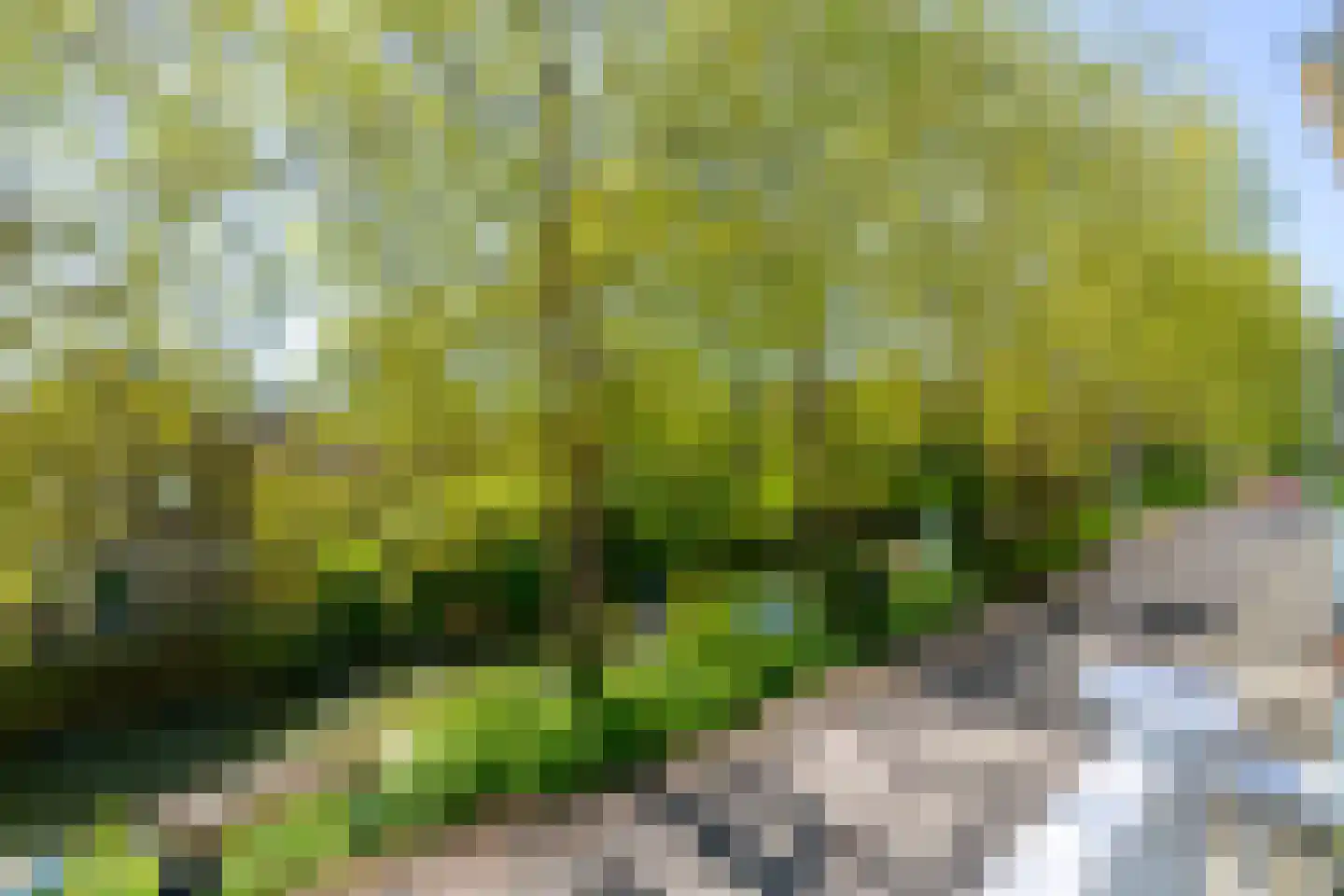 Alexander Numankade 73 BS Utrecht thumbnail 46