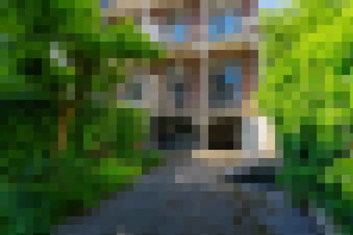 Alexander Numankade 73 BS Utrecht thumbnail 48