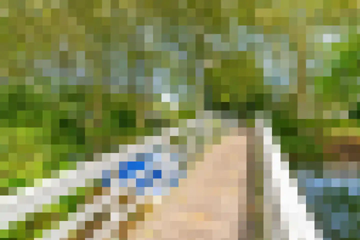 Alexander Numankade 73 BS Utrecht thumbnail 53