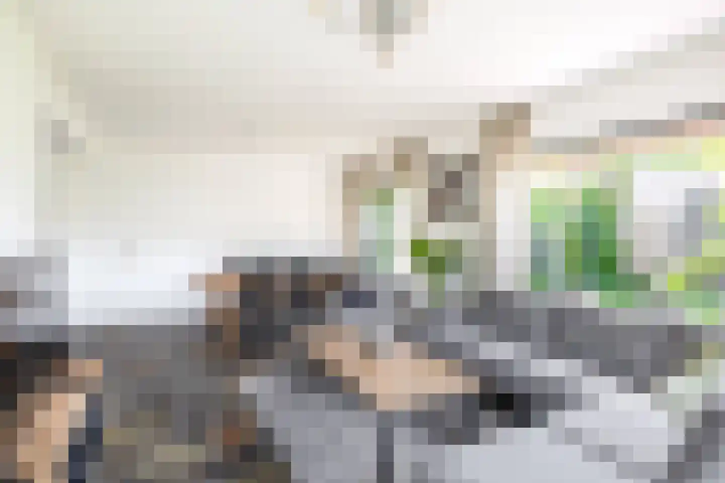 Alexander Verhuellstraat 125 Brielle thumbnail 10