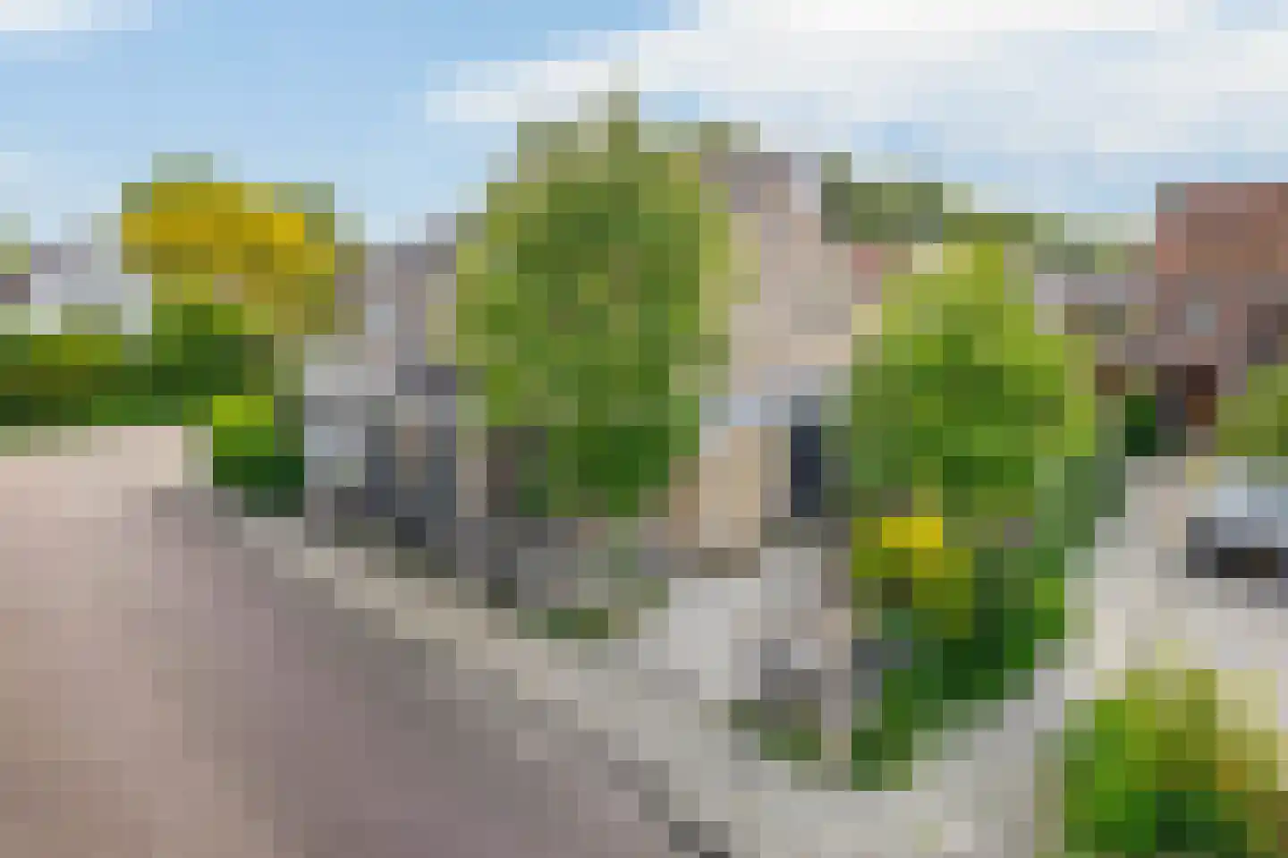 Alexander Verhuellstraat 125 Brielle thumbnail 5