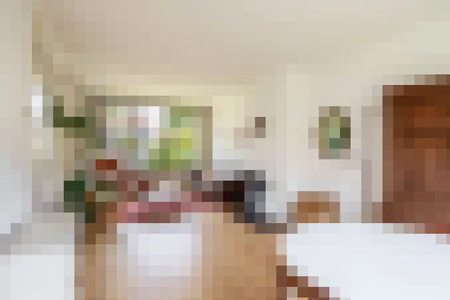 Alexander Verhuellstraat 141 Brielle thumbnail 16