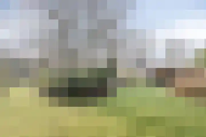 Alexander Verhuellstraat 2 Brielle thumbnail 31