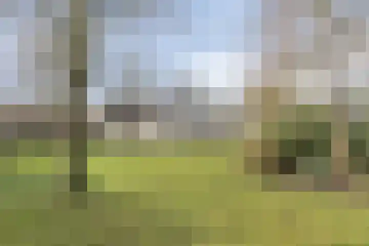 Alexander Verhuellstraat 2 Brielle thumbnail 32