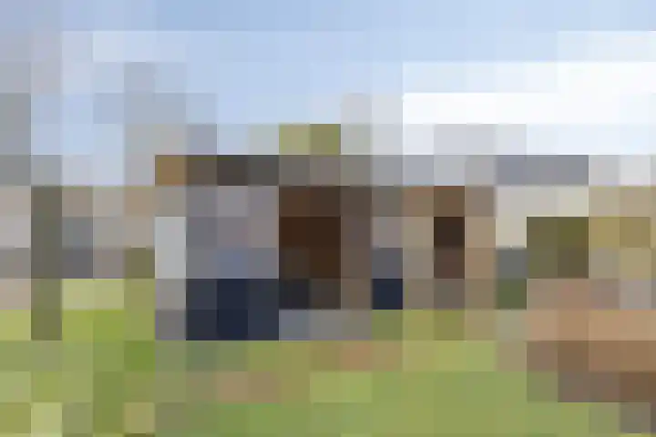 Alexander Verhuellstraat 2 Brielle thumbnail 35