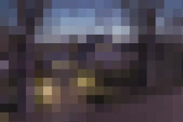 Alexander Verhuellstraat 2 Brielle thumbnail 36
