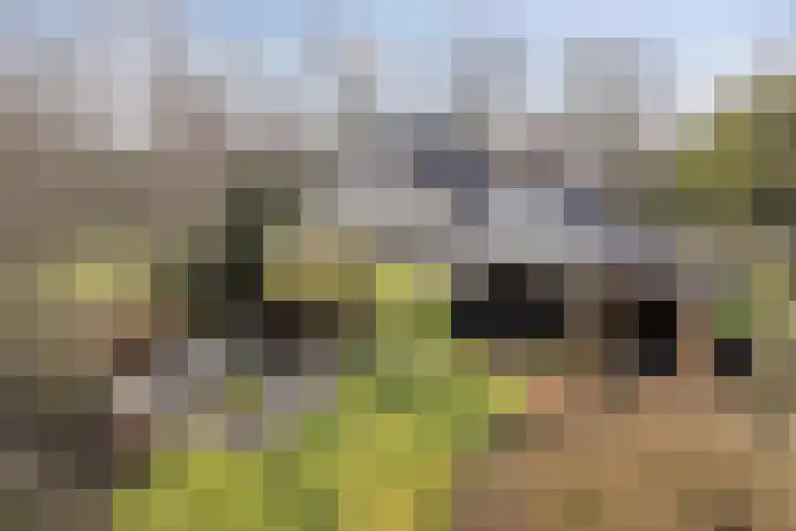 Alexander Verhuellstraat 2 Brielle thumbnail 5