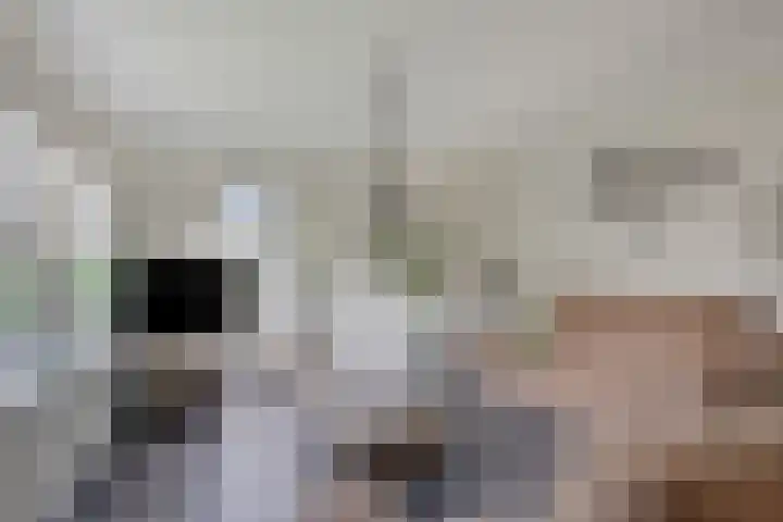 Alexander Verhuellstraat 2 Brielle thumbnail 9
