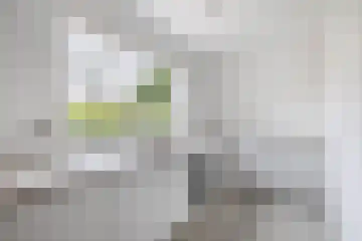 Alexander Verhuellstraat 33 Brielle thumbnail 16