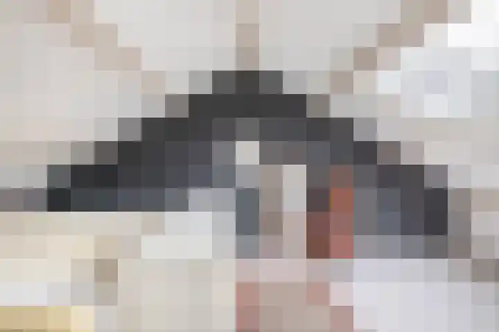 Alexander Verhuellstraat 33 Brielle thumbnail 34