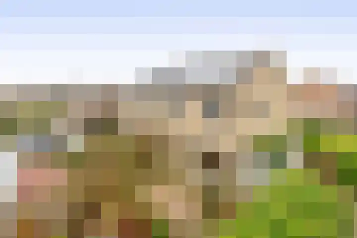 Alexander Verhuellstraat 33 Brielle thumbnail 37