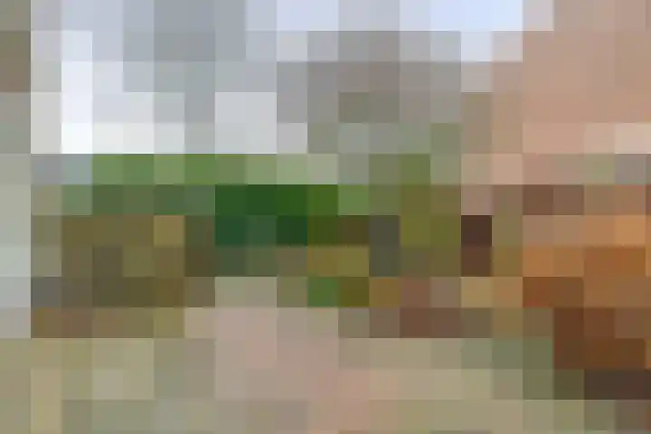 Alexander Verhuellstraat 33 Brielle thumbnail 38
