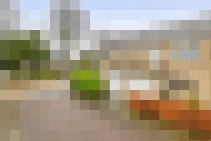Alexander Verhuellstraat 33 Brielle thumbnail 7