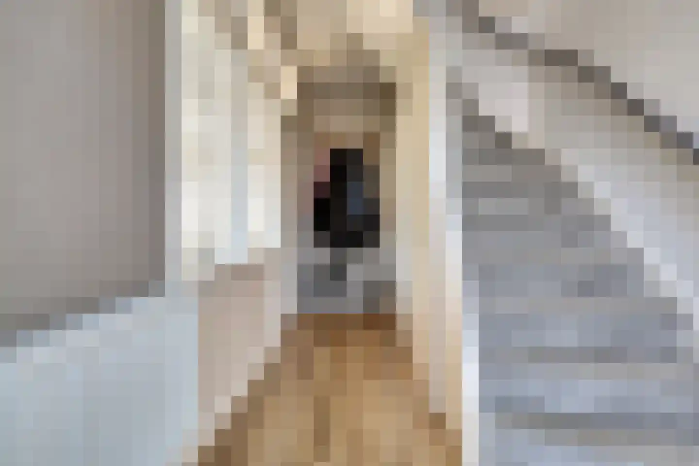 Alexander Verhuellstraat 47 Brielle thumbnail 6