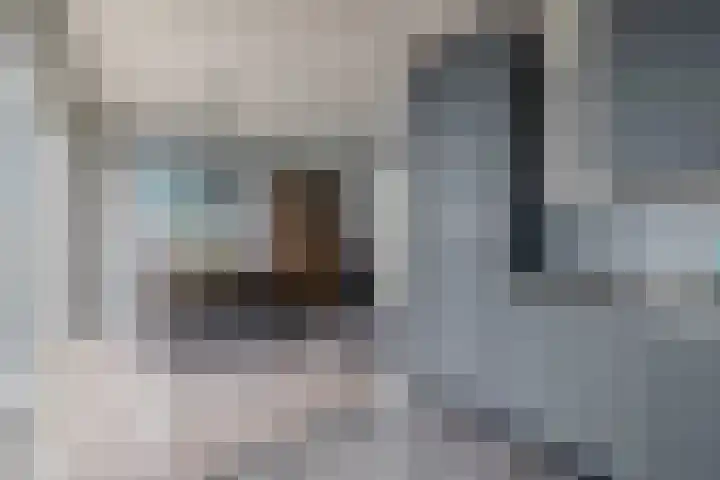 Alexander Verhuellstraat 83 Brielle thumbnail 13