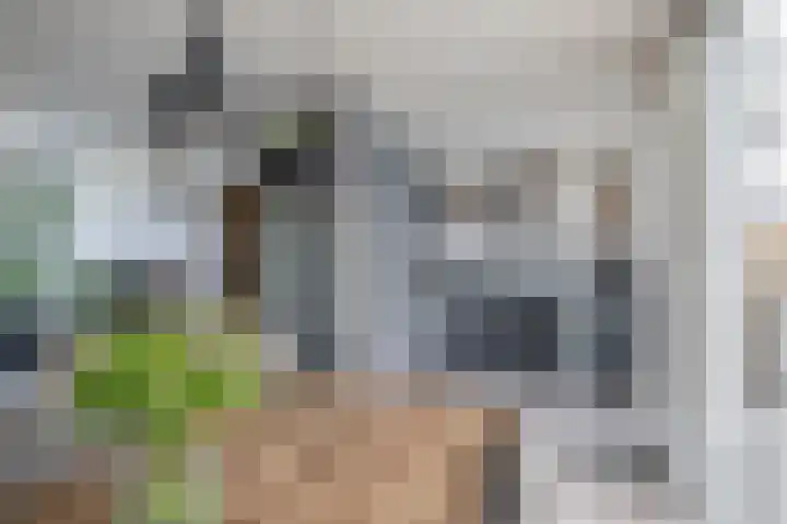 Alexander Verhuellstraat 83 Brielle thumbnail 14