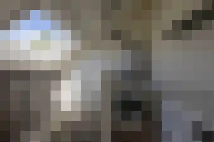Alexander Verhuellstraat 83 Brielle thumbnail 31