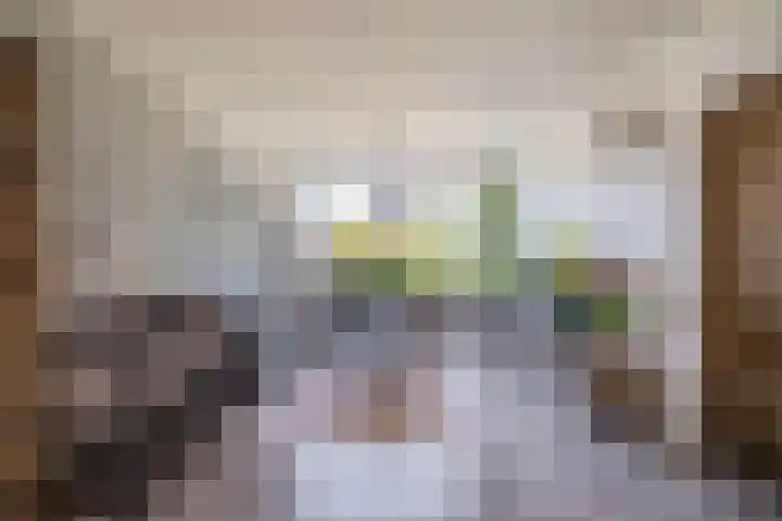 Alexander Verhuellstraat 83 Brielle thumbnail 9