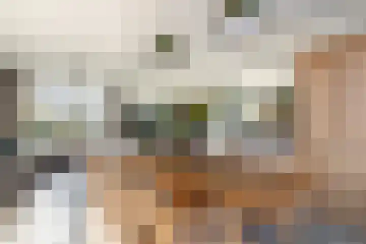 Alexander Verhuellstraat 99 Brielle thumbnail 13