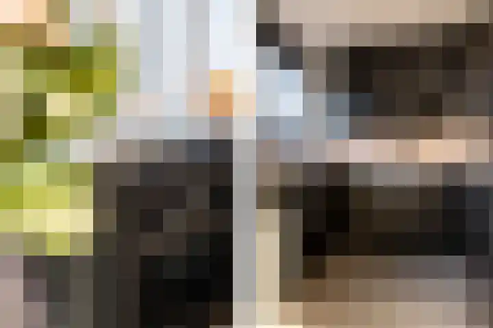 Alexander Verhuellstraat 99 Brielle thumbnail 19