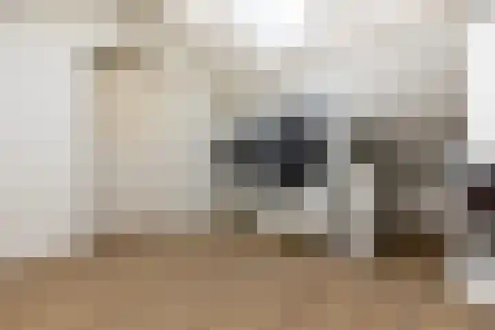 Alexander Verhuellstraat 99 Brielle thumbnail 31