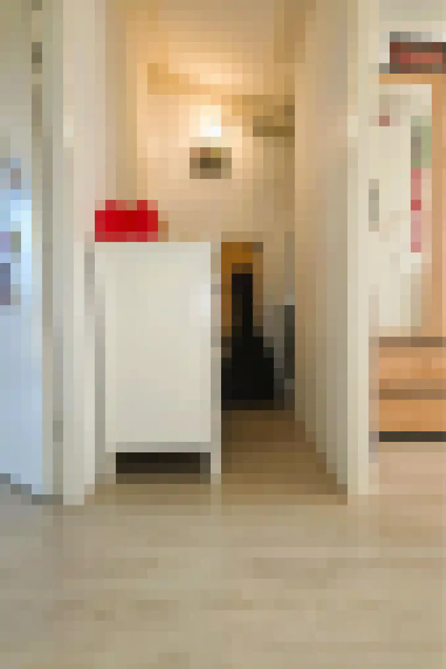 Alexander Voormolenstraat 10 Deventer thumbnail 34