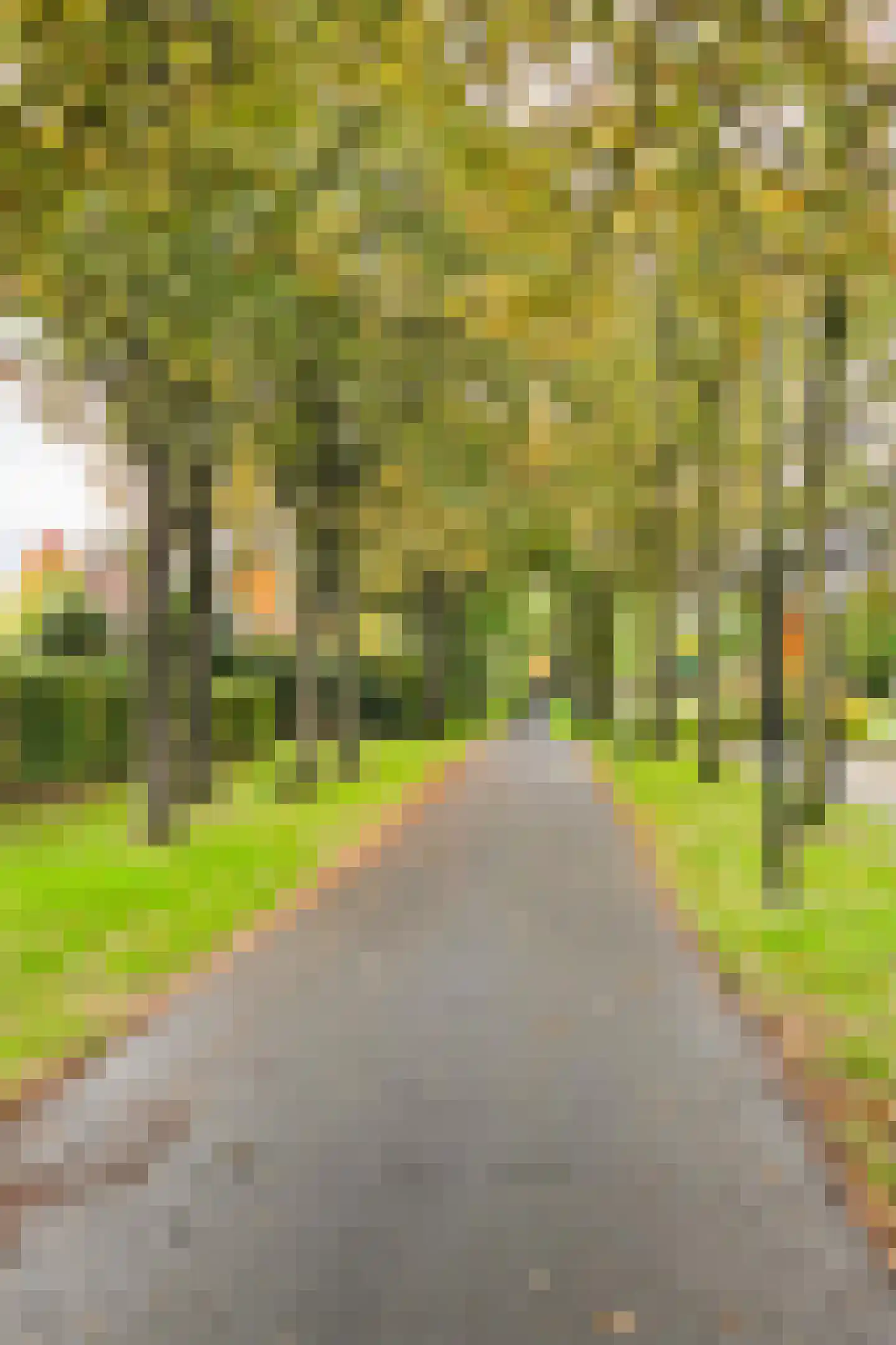 Alexander Voormolenstraat 10 Deventer thumbnail 48