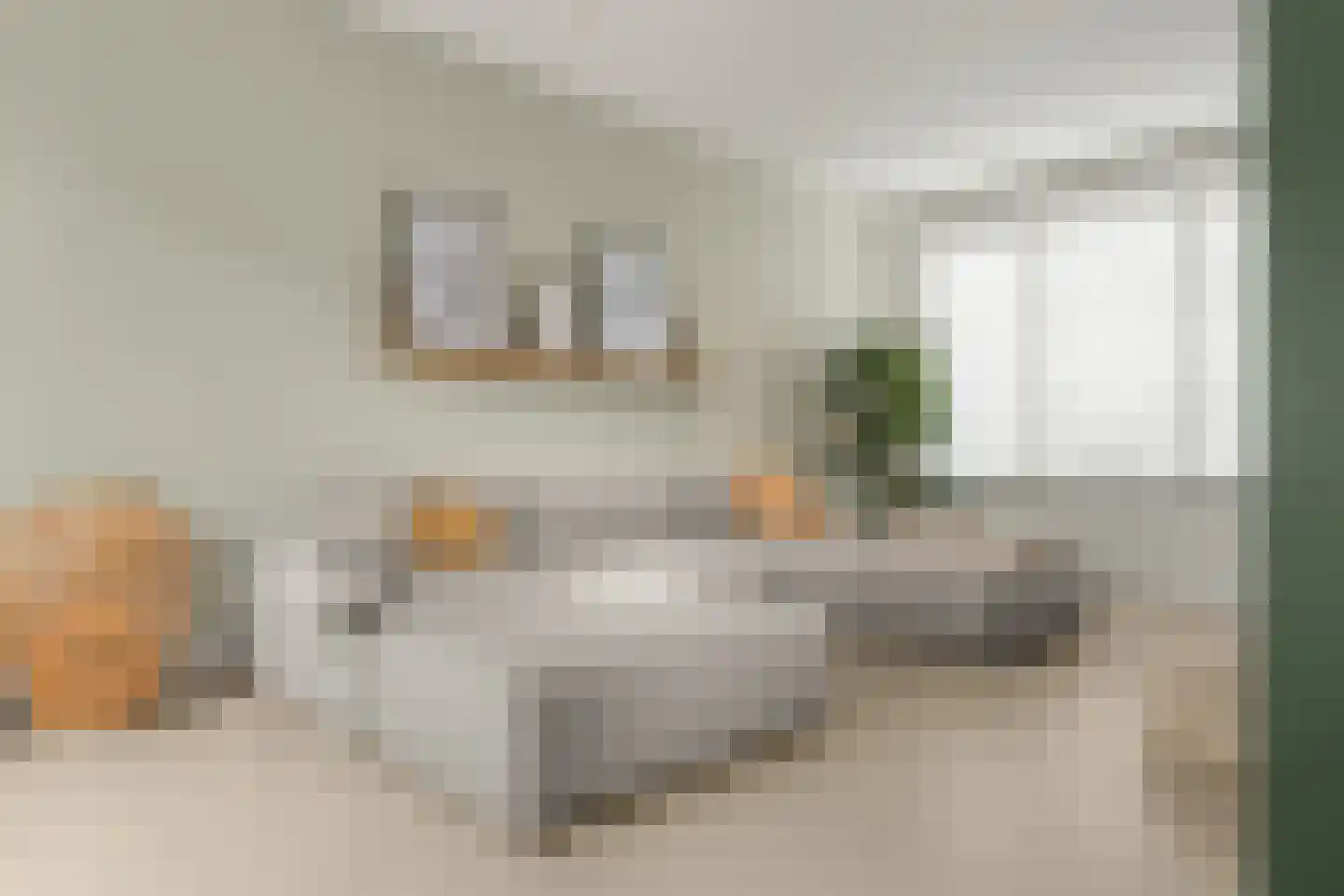Alexander Vosmaerlaan 22 Bilthoven thumbnail 12