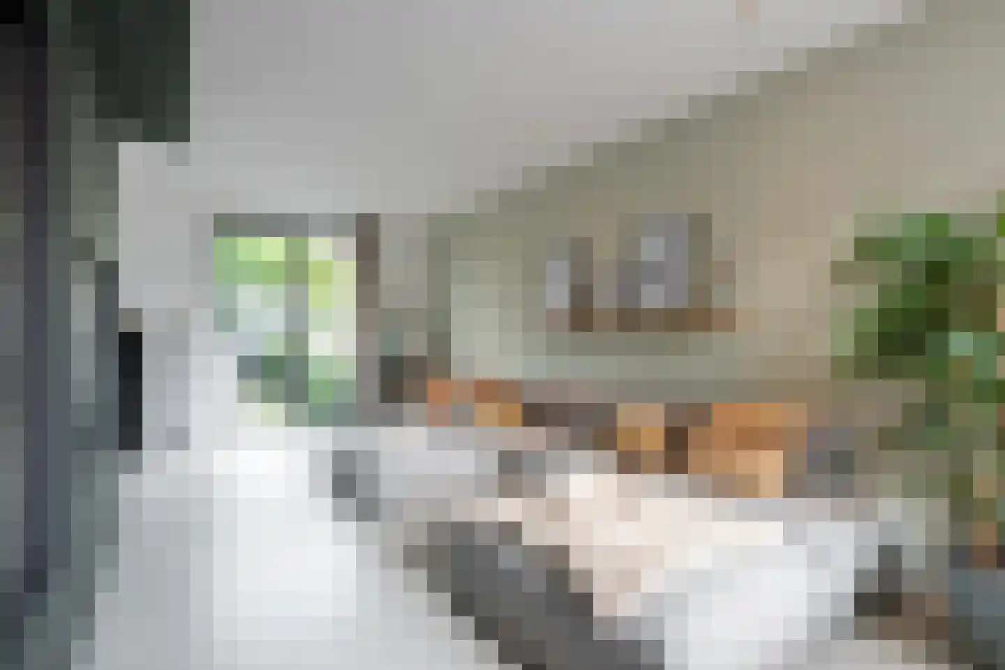 Alexander Vosmaerlaan 22 Bilthoven thumbnail 24