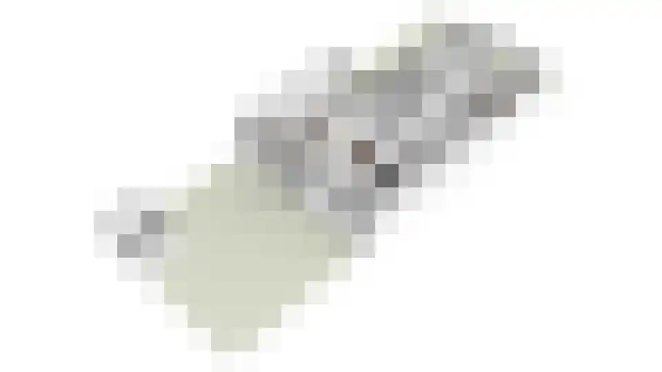 Alexander Vosmaerlaan 22 Bilthoven thumbnail 43